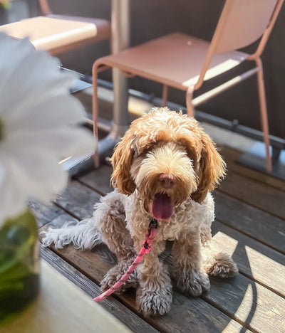 Profile content image