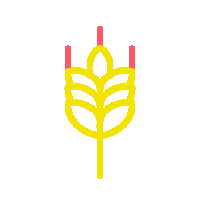 icon of wheat